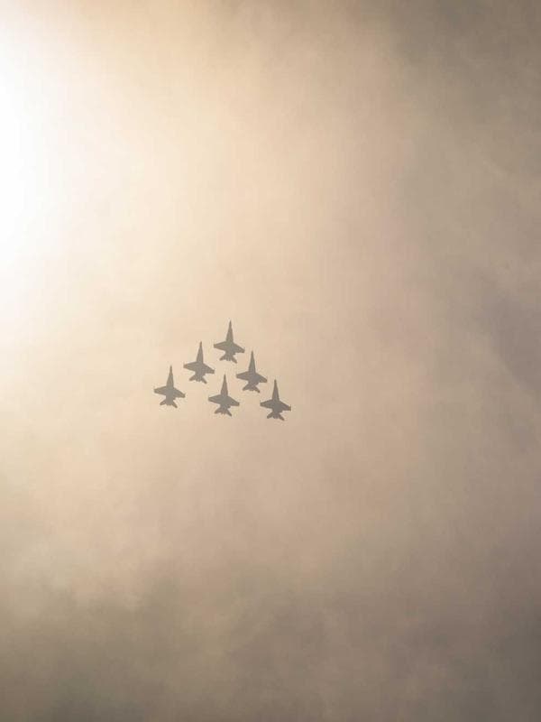 Visual progetto social per Pizzeria da Panico